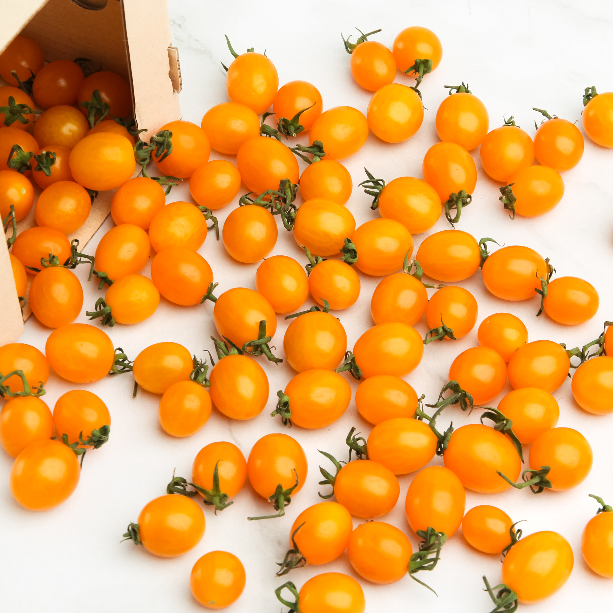 Organic Yellow Chloe Tomato